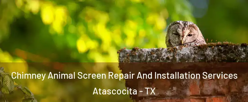  Chimney Animal Screen Repair And Installation Services Atascocita - TX