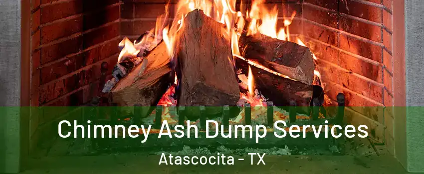  Chimney Ash Dump Services Atascocita - TX