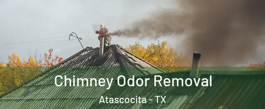  Chimney Odor Removal Atascocita - TX