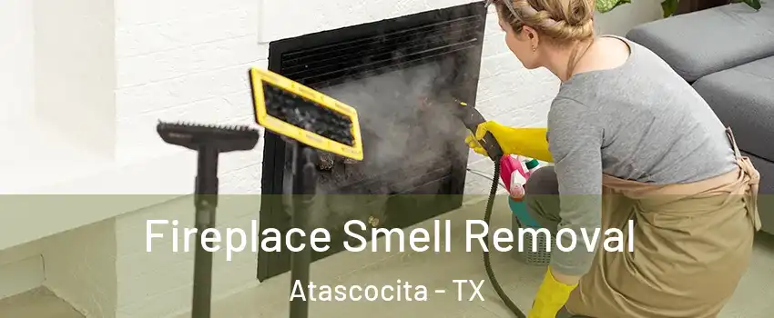  Fireplace Smell Removal Atascocita - TX