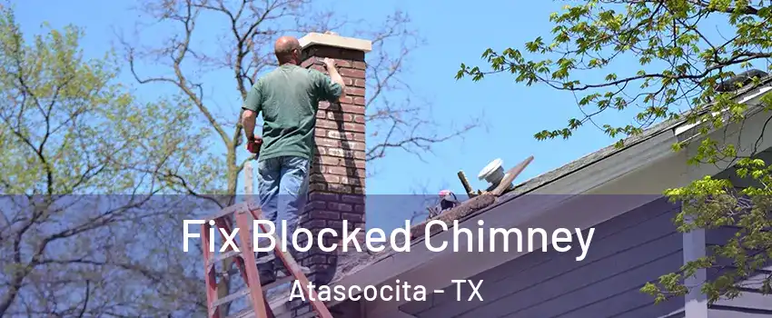  Fix Blocked Chimney Atascocita - TX