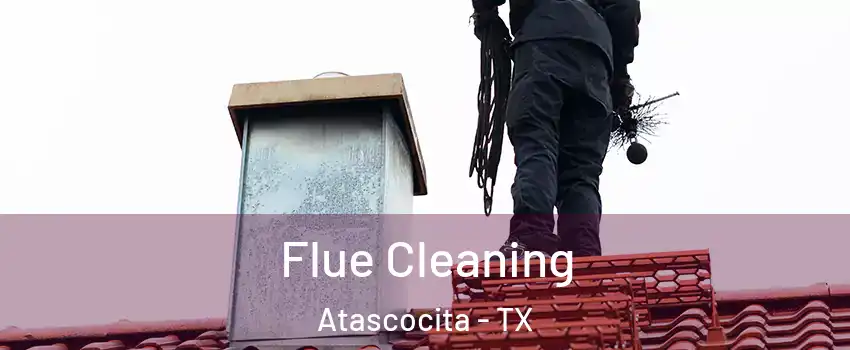  Flue Cleaning Atascocita - TX