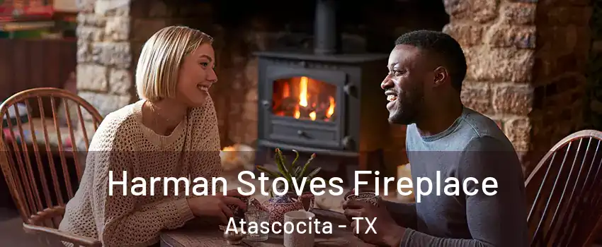  Harman Stoves Fireplace Atascocita - TX