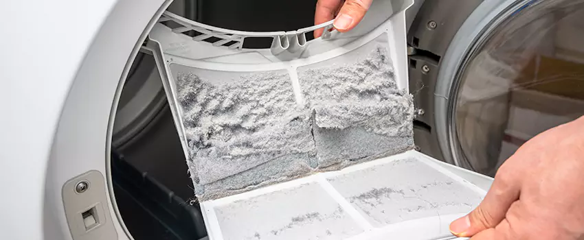Best Dryer Lint Removal Company in Atascocita, Texas
